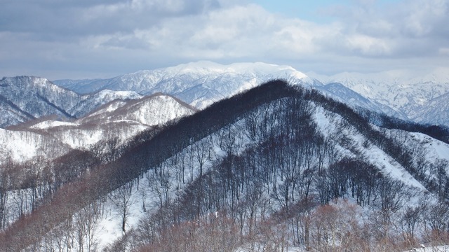 P2213001.JPG