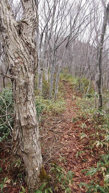 P2253006.JPG