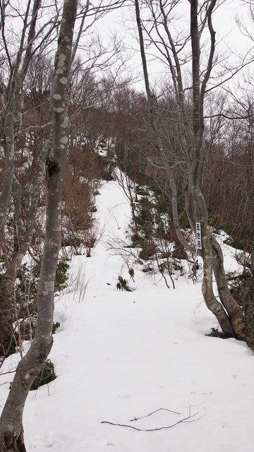 P2253007.JPG