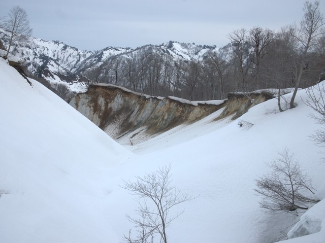 P3123559 (2).jpg