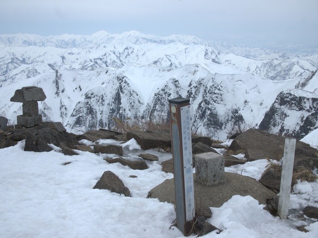 P3123567 (2).jpg