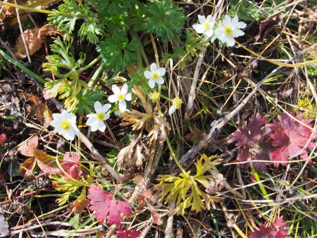 PA190042.JPG