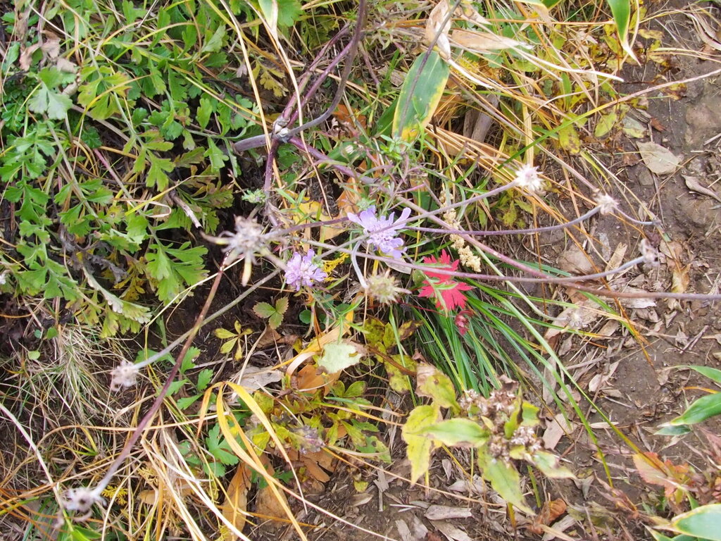 PA190046.JPG
