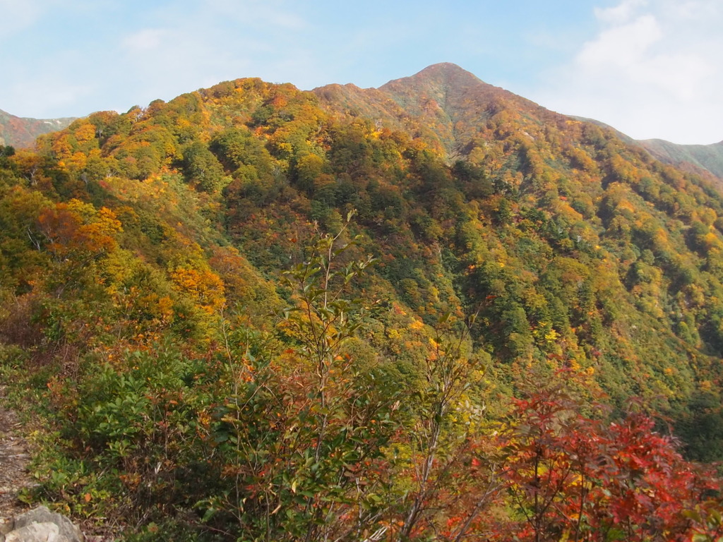 PA190085.JPG