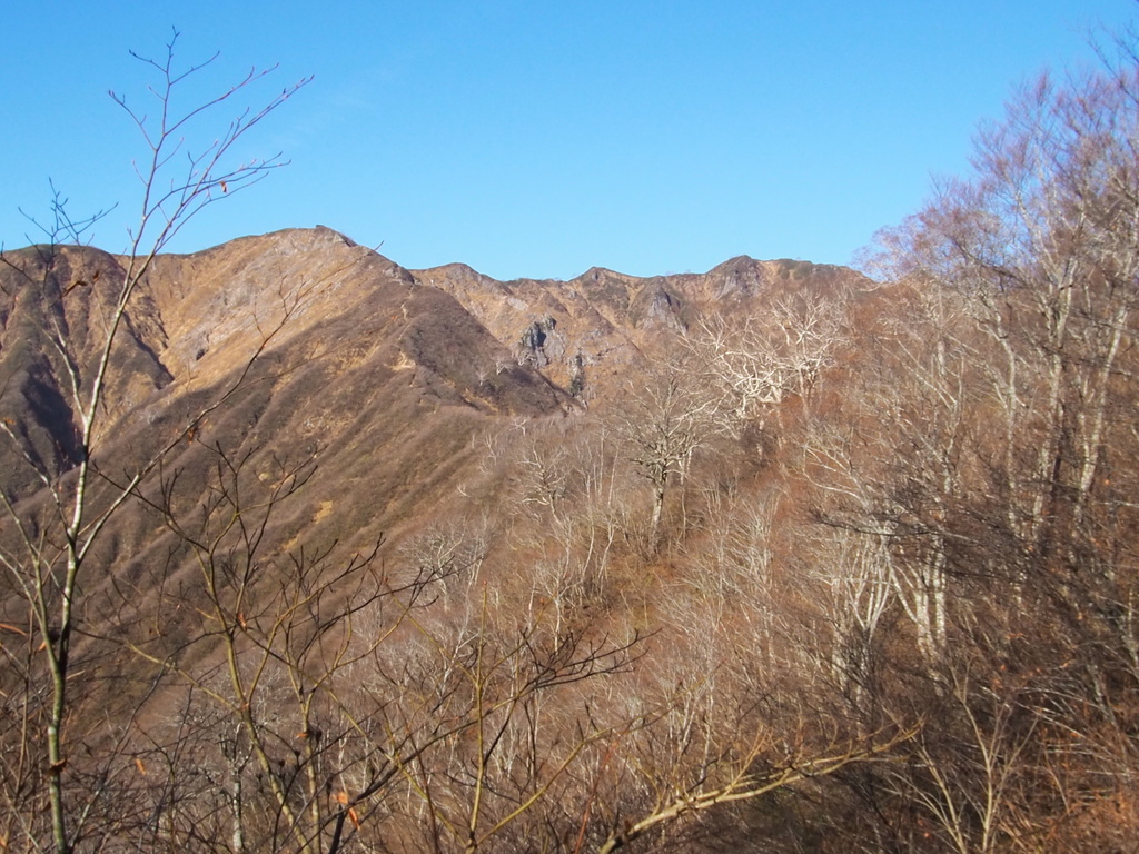 PB090030.JPG